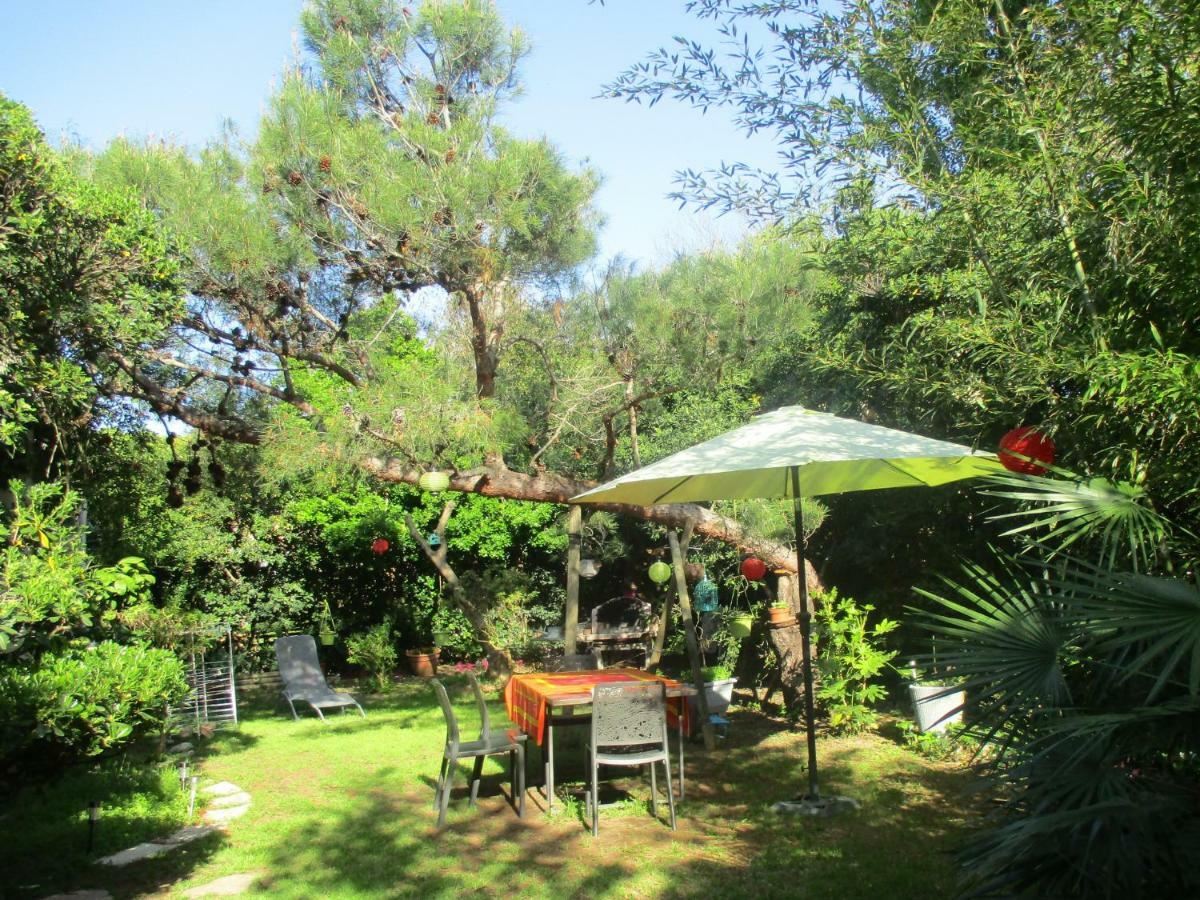 Jardin Et Bambous, Studio Cosy, Classe 2 Etoiles Marseillan  Exterior photo