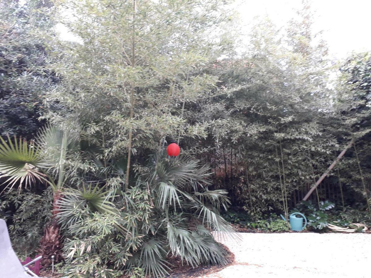 Jardin Et Bambous, Studio Cosy, Classe 2 Etoiles Marseillan  Exterior photo