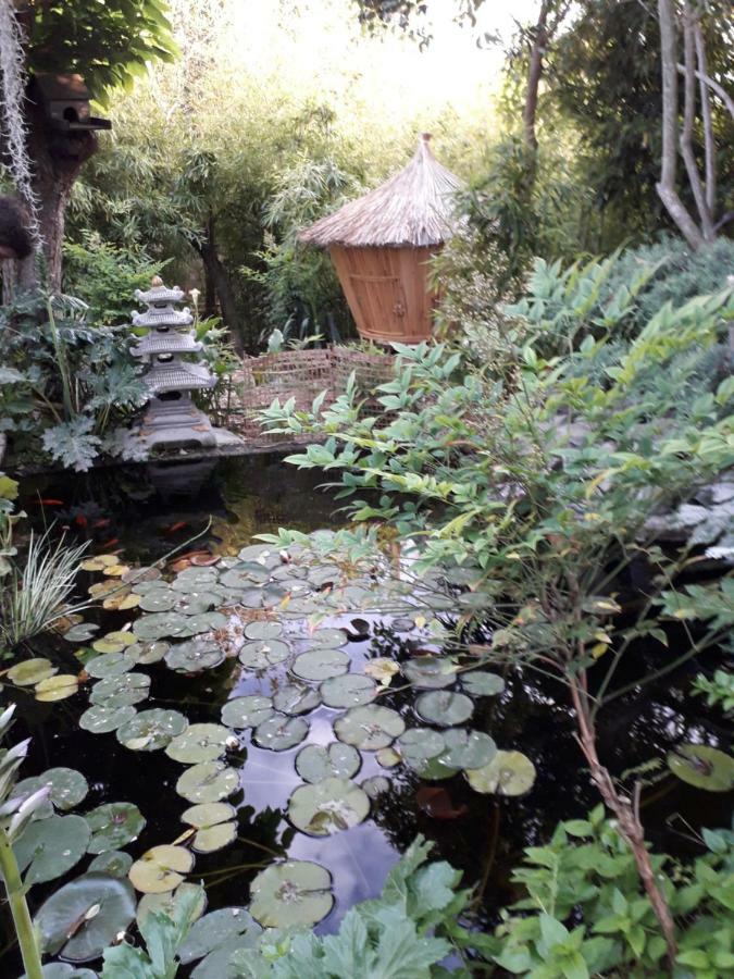Jardin Et Bambous, Studio Cosy, Classe 2 Etoiles Marseillan  Exterior photo
